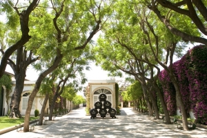 Bodegas Osborne y Cía S.A. - Bodega de Mora (Vinos)